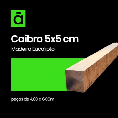Caibro de Eucalipto 5X5cm