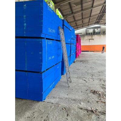 Compensado Plastificado de 18 mm - 8394